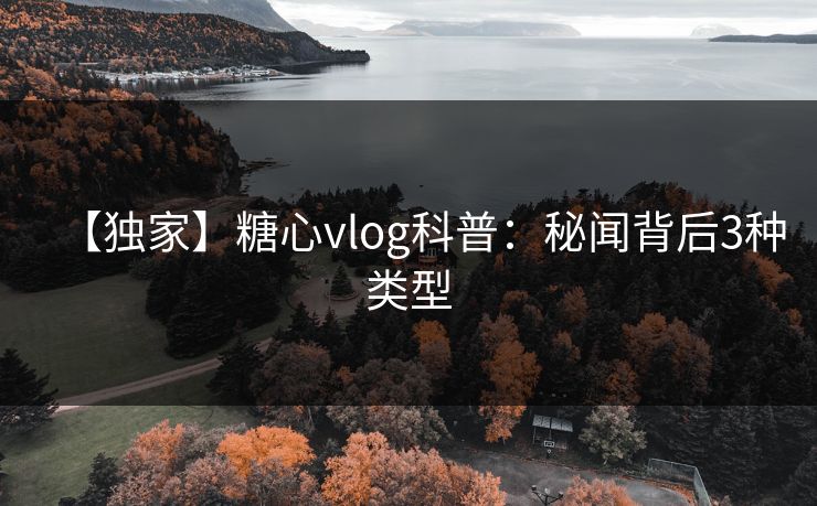 【独家】糖心vlog科普：秘闻背后3种类型