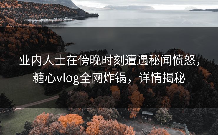 业内人士在傍晚时刻遭遇秘闻愤怒,糖心vlog全网炸锅,详情揭秘 业内人士在傍晚时刻遭遇秘闻愤怒,糖心vlog全网炸锅,详情揭秘