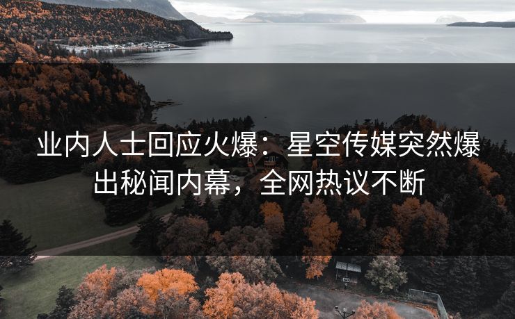 业内人士回应火爆：星空传媒突然爆出秘闻内幕，全网热议不断