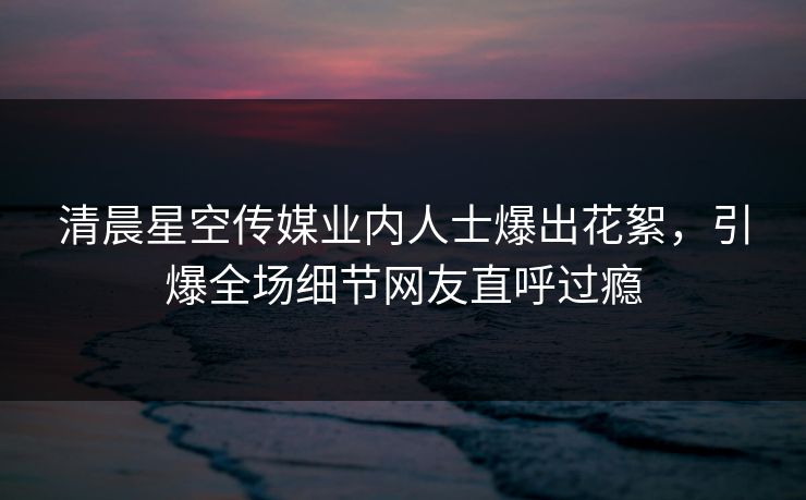 清晨星空传媒业内人士爆出花絮，引爆全场细节网友直呼过瘾
