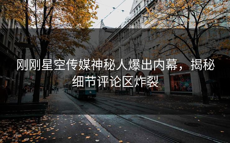 刚刚星空传媒神秘人爆出内幕，揭秘细节评论区炸裂