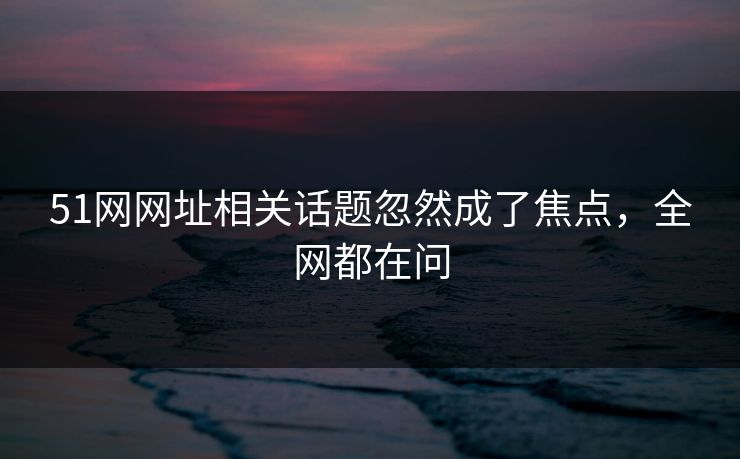 51网网址相关话题忽然成了焦点，全网都在问
